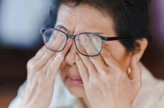 可以或许对大脑能供给必然